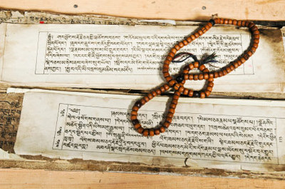 manuscripts-in-sanskrit-written-on-palm-leaves